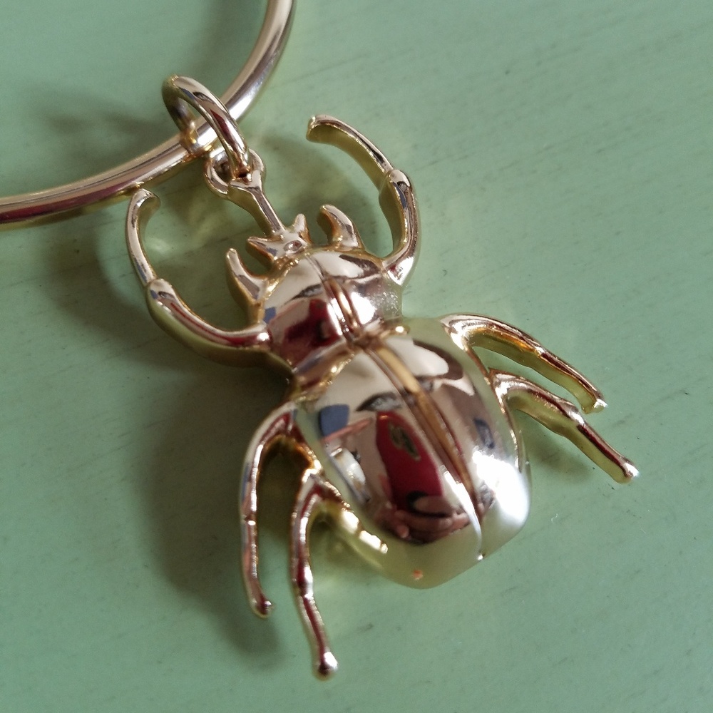 Beetle charm